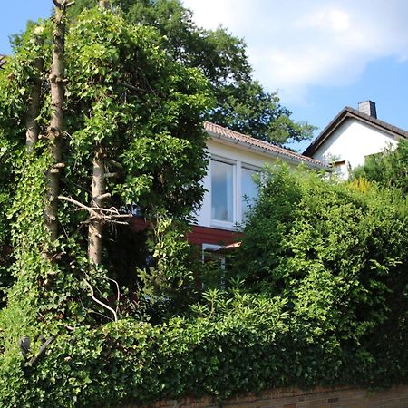 Ferienwohnung Zum Rosengarten West015 Westerwald Driedorf Экстерьер фото